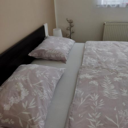 Apartma Jerman - Cerknica Dış mekan fotoğraf