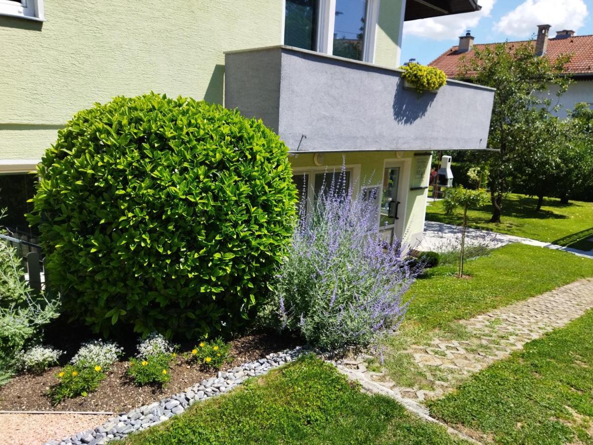 Apartma Jerman - Cerknica Dış mekan fotoğraf